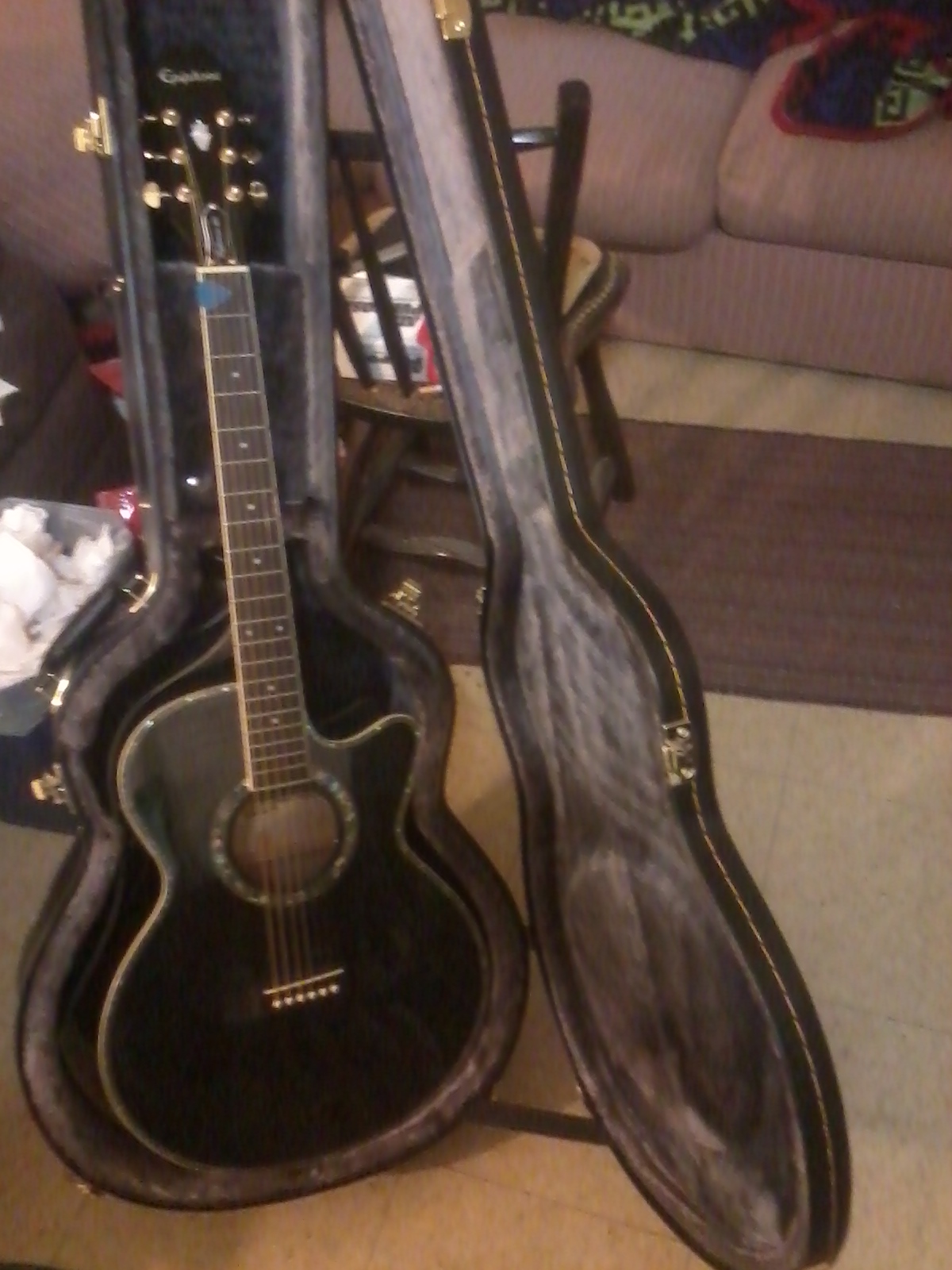 the guitar I just bought
